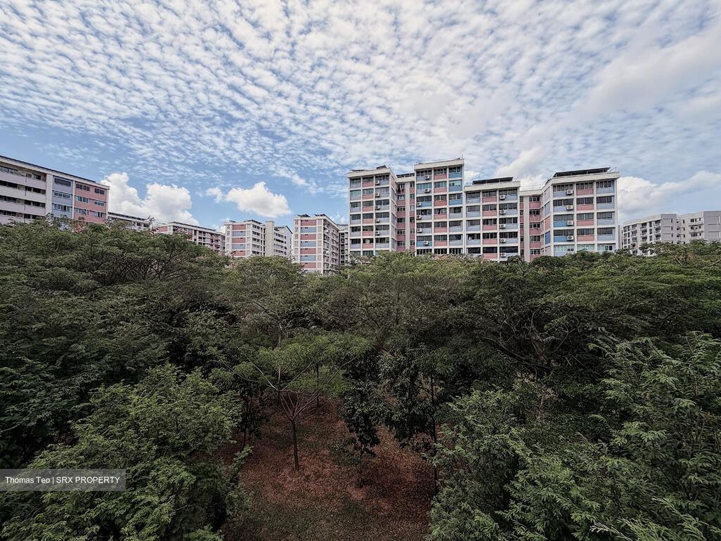 Blk 486 Pasir Ris Drive 4 (Pasir Ris), HDB 5 Rooms #525111291